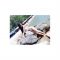 กระเทย, Gay, หาเพื่อนเกย์